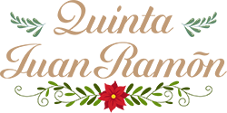 Logo Navideño